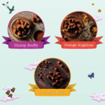 taste adventures cocoa dusted truffles assortment | 6 flavour selection of chocolate cocoa dusted truffles for sharing, 225g